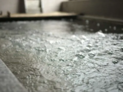 展望の宿 峰 真鶴のホテル