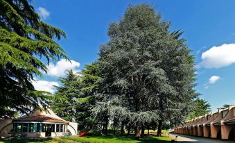 Hotel Pineta