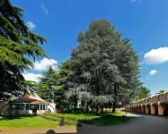 Hotel Pineta Hotels in Cassano Magnago
