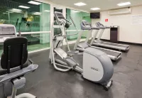 Holiday Inn Express TAPACHULA by IHG - Gym