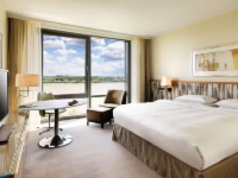 ハイアット リージェンシー マインツ マインツのホテル