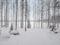 Ahven Hotels in Punkaharju