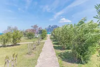 Il Vecchio Faro Dalia 6 50mt from the Sea - Happy Rentals