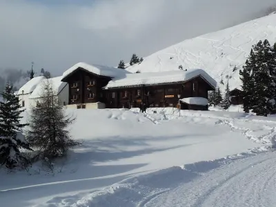 Almenrausch 2. OG Süd-West