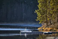 Triumf Park-Hotel Hotels in Lakhdenpokhsky District