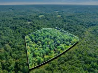 Cottage by the creek on 17 acres minutes from Leipers Fork! Writer’s Paradise…