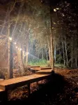 Cozy pet friendly cabin on creek with WiFi near Anchorage