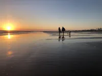 Jacaranda House ❤️ El Palmar Beach Hotels in El Palmar