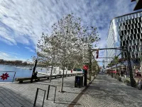 2-BR apartment in historic Capitol Hill, prime location in Washington DC - Alojamientos