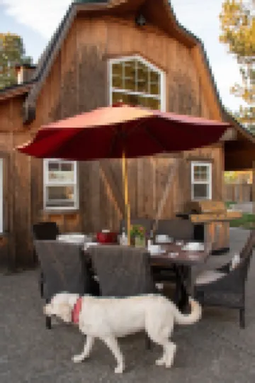 The Barn on Braden, Classic Splendor on the South Side