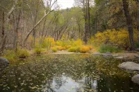 The Apple Cabin in Sedona Scenic Oak Creek Canyon - Alppimaja