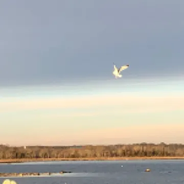 Cozy, clean, relaxing beach cottage awaits you!!