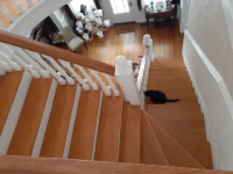 Victorian Spa EnSuite @ Nottingham PL, King Bed, Jacuzzi Near UVa-Wise & Main St 와이즈 호텔