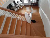 Victorian Spa EnSuite @ Nottingham PL, King Bed, Jacuzzi Near UVa-Wise & Main St