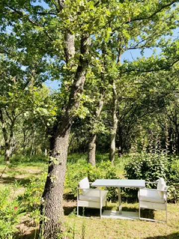 Au Coeur de la Forêt en Drôme Provençale - swimming pool Hotels in 