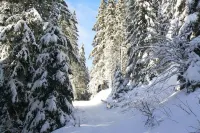 Villa des Familles - Antarès - Peace and Quiet at la Bourboule Hotels in La Bourboule