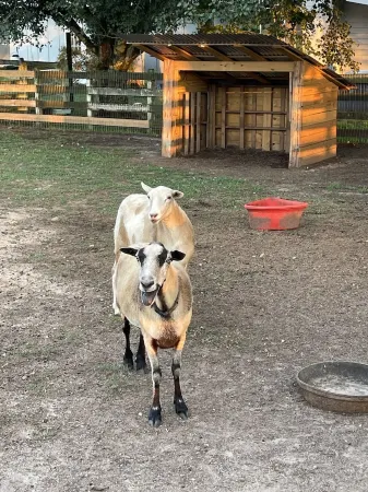 Easy drive to Covington square. Safe gated property.