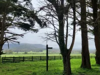 Gorgeous Cottage with open fireplace and Fire Pit Hotels in Lancefield