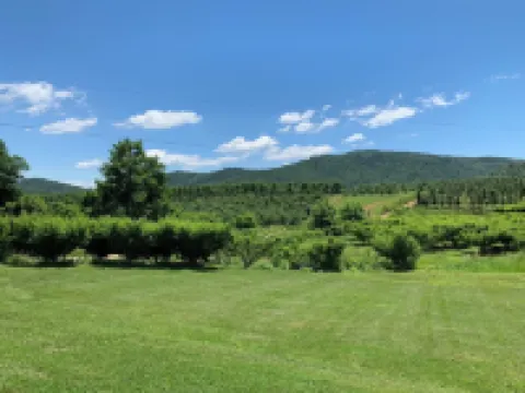 Perfect getaway at foothills of the Blue Ridge Mountains, with gorgeous views! Hotels in Samuel Miller