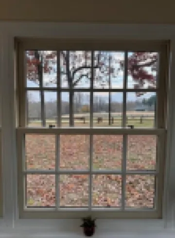 Country School House at Solidago FarmUnique, cozy small farm experience!