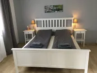 Forest view in the Lerbachtal / Harz