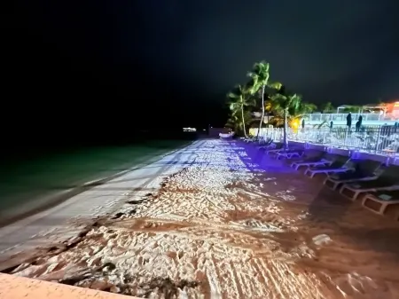 Little Island Pearl Отели в г. Key Colony Beach