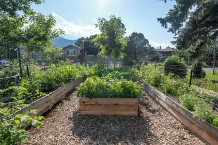 Calor Nest - Family/Kid Oriented Homestead Отели в г. Маниту Спрингс