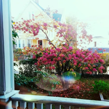 Beautiful studio in historic neighborhood of Boston. Super close to downtown!