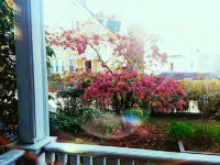 Beautiful studio in historic neighborhood of Boston. Super close to downtown!