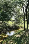 Leaning Oaks Ranch - A Perfect Texas Hill County Ranch Getaway!