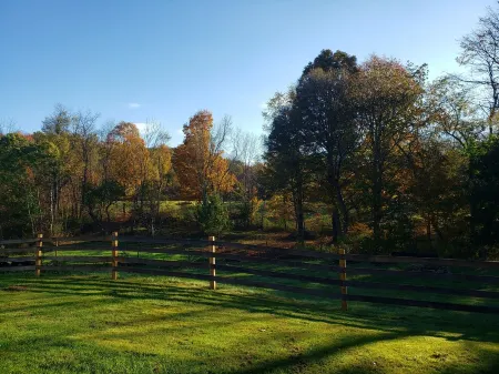 Welcome to Osborne Creek!