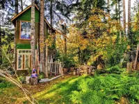 T, s Creekside cabin. King Bed/ Hot tub/ treehouse