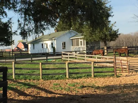 Elegant Cottage on 600 Acre Horse & Livestock Farm