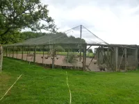 Gîte de la Volière Hotels in Plumeliau-Bieuzy