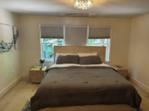 LARGE Waterfront Sandy Bottom Lake House on Brandy/Long Lake