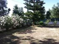 APARTMENT 300M FROM THE BEACH (ON FOOT) Hotels in Corbara