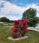 Jemma’s Hideaway in Amish Country