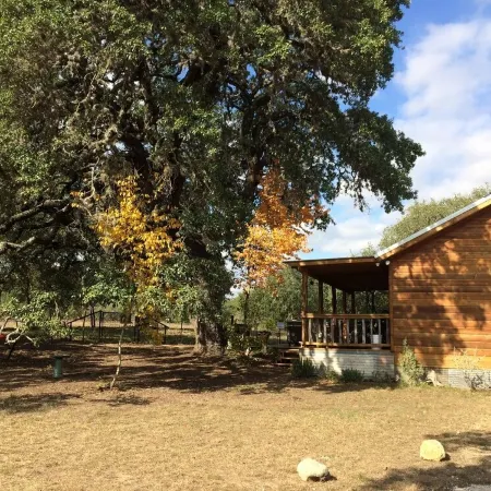 Secluded Ranch Cabin Get Away Between Lost Maples & Garner