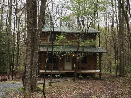 Pet Friendly Appalachian Cabin!