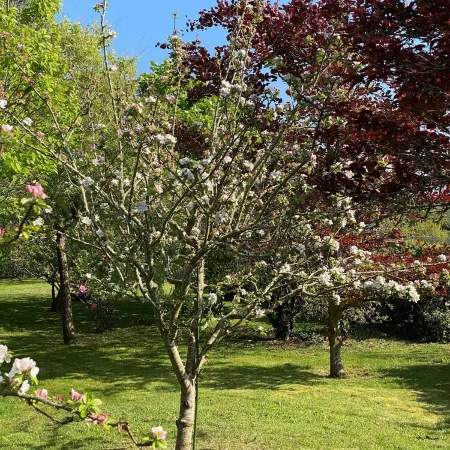 Penmarc’h-Holiday Cottage