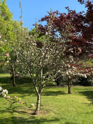 Penmarc’h-Holiday Cottage
