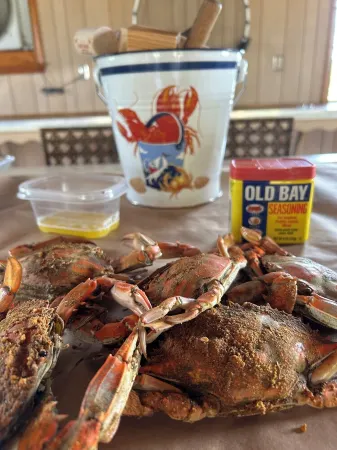 Beautiful Waterfront Retreat in Cambridge!