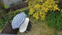 Maison Bleue - Finistère Sud - 4 people close to the beach and the port