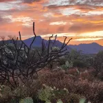 Charming 2 Bedroom Casita on Historic Tucson Ranch  Scenic Views & Rustic Appeal