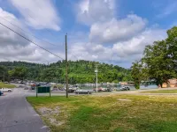 New Cottage @ Hickory Star Marina+Boat Slip on Norris Lake