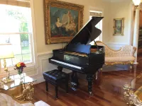 Luxury huge Victorian Villa 7000 sq ft. 15 min to DC. Sleeps 27 guests.
