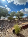 Charming Casita on a quiet western Ranch in a Cave Creek neighborhood. Hotels near Retablo