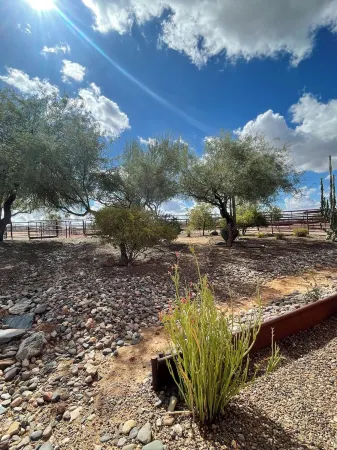 Charming Casita on a quiet western Ranch in a Cave Creek neighborhood. Отели в г. Кейв Крик