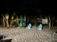 Charming Dog-Friendly, Tropical Backyard. 1 Queen, 1 Full, 2 Twin Beds, 2 Baths - 3-Star