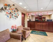 히비스커스 인 & 스위트